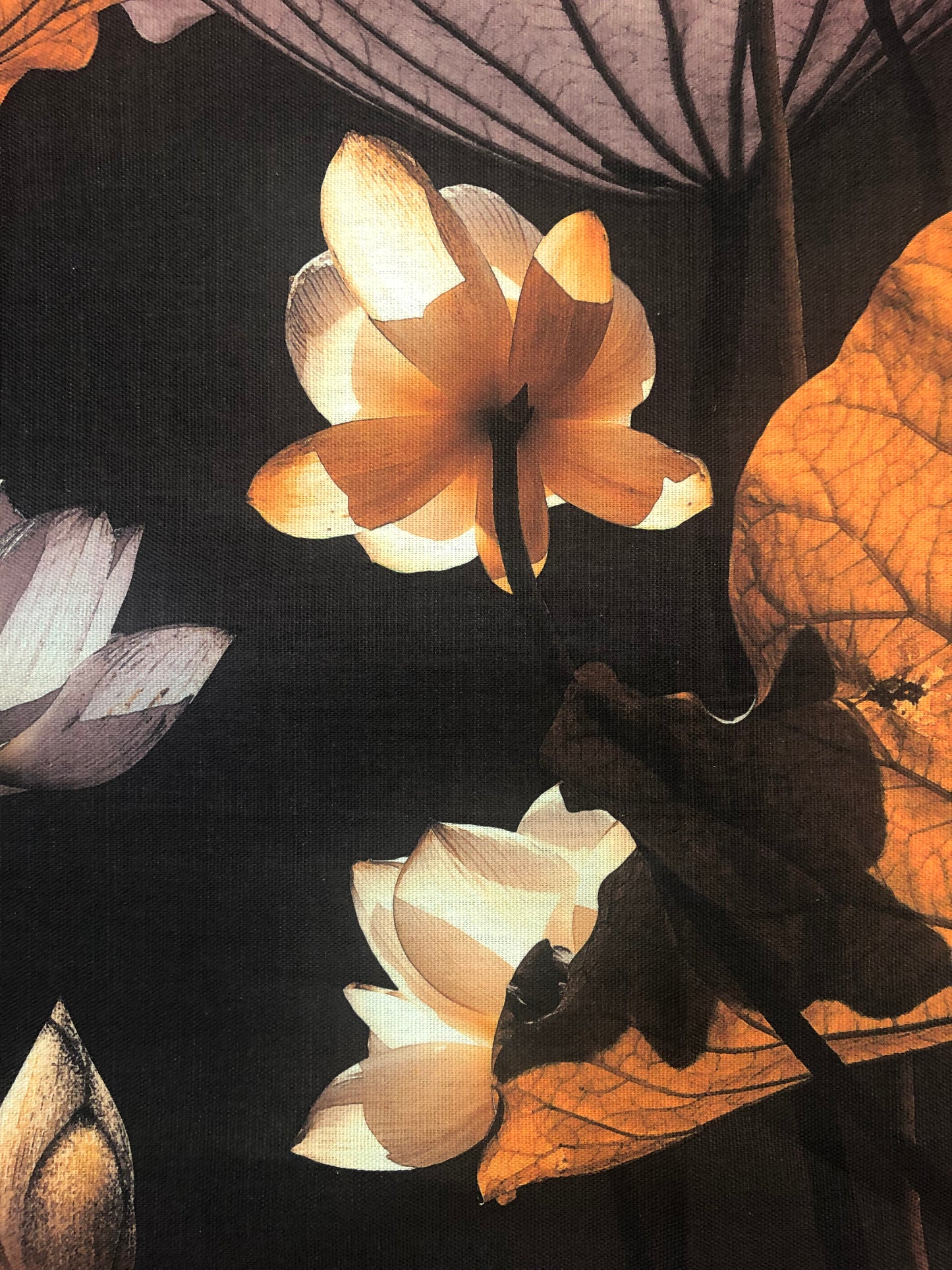 MS CHIEF DESIGNS Lotus Night in Linen