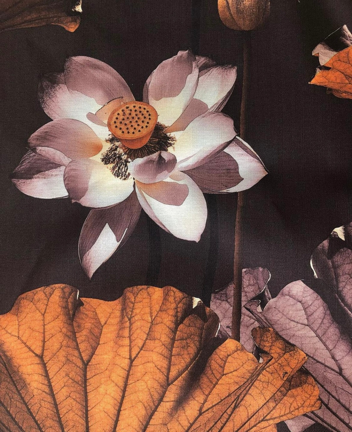 MS CHIEF DESIGNS Lotus Dusk in Linen