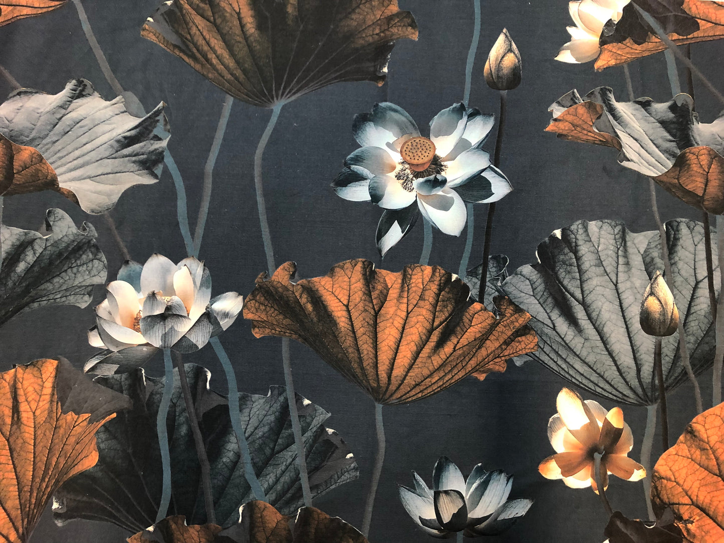 MS CHIEF DESIGNS Lotus Morning in Linen