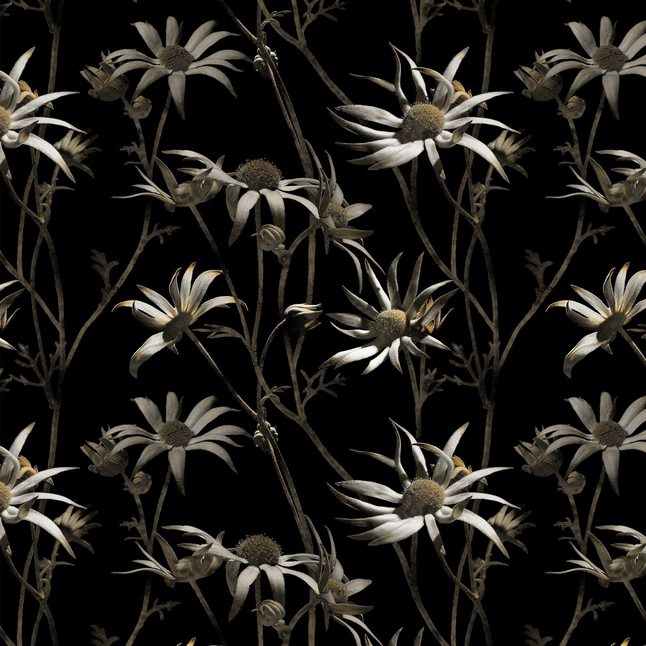 MS CHIEF DESIGNS Flannel Flowers in Chenille Midnight