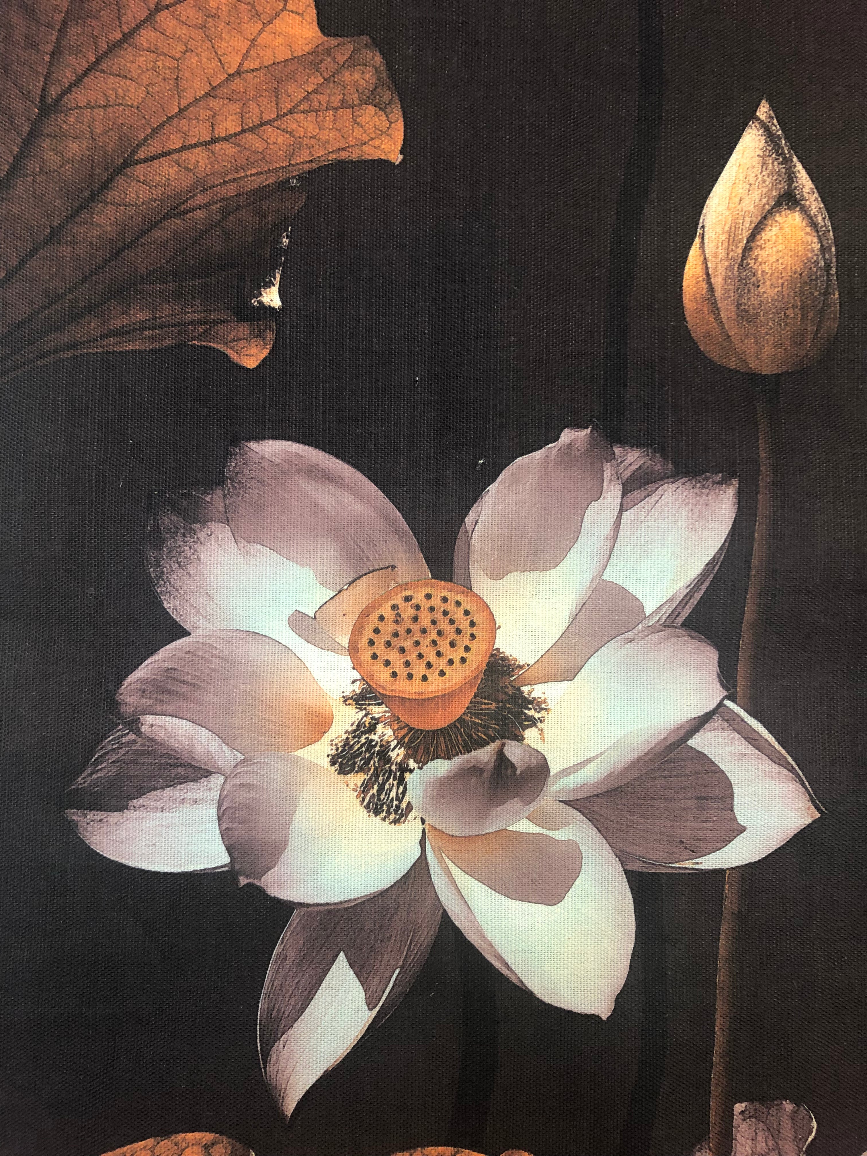 MS CHIEF DESIGNS Lotus Night in Linen