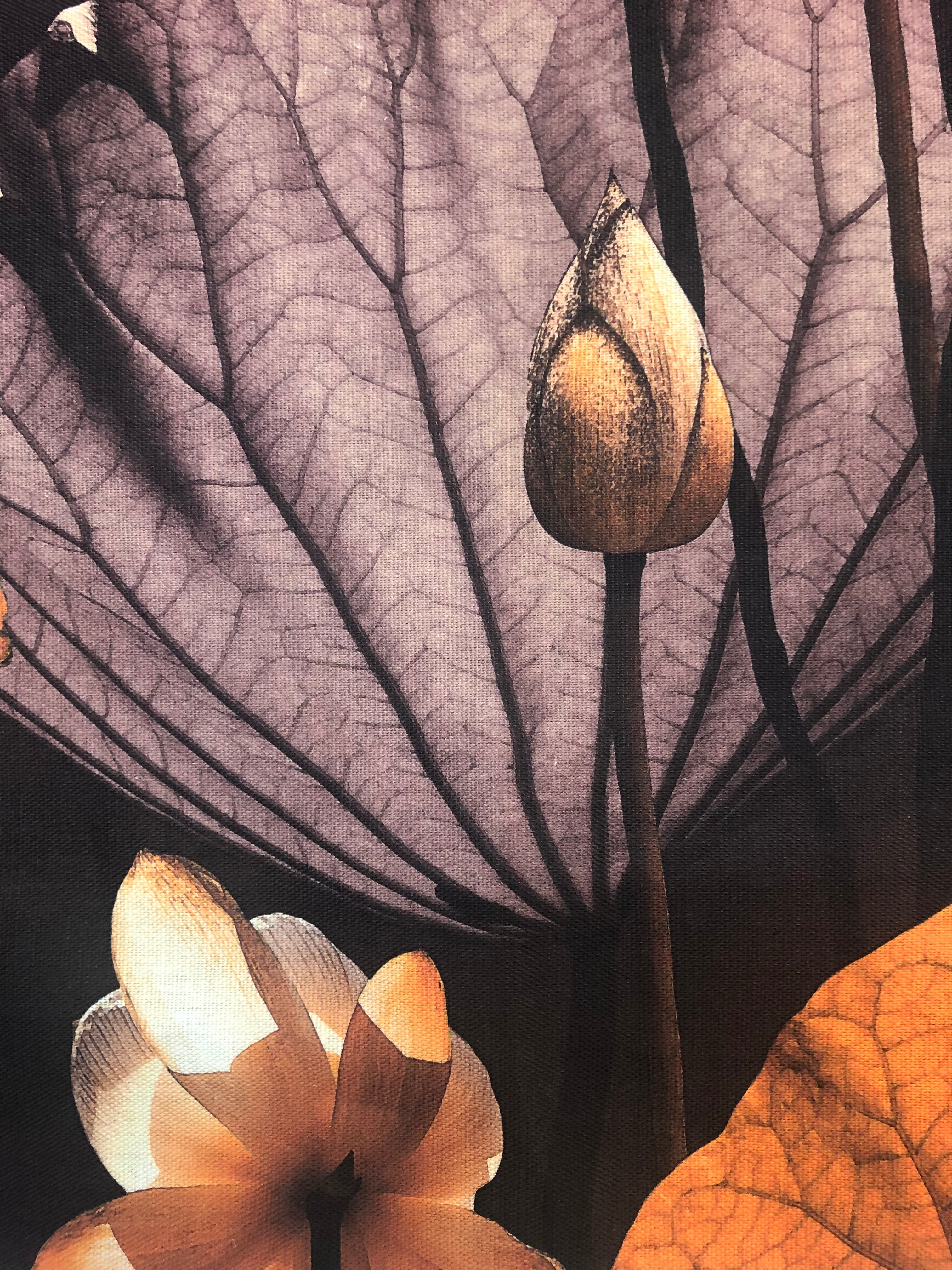 MS CHIEF DESIGNS Lotus Night in Linen