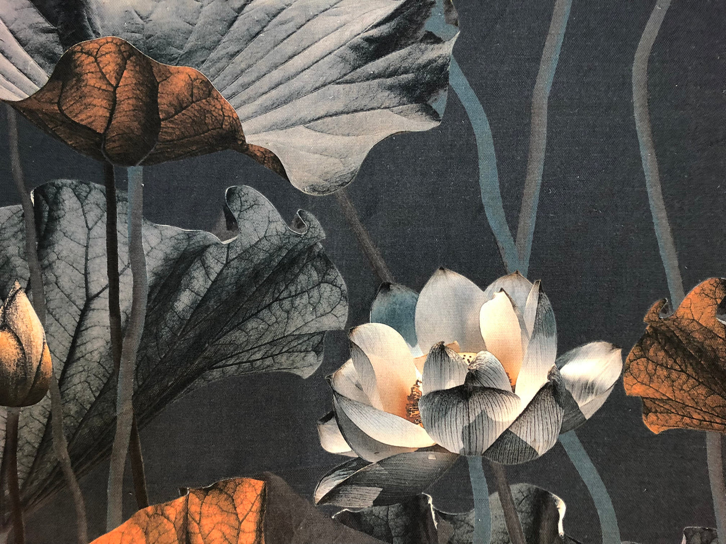 MS CHIEF DESIGNS Lotus Morning in Linen